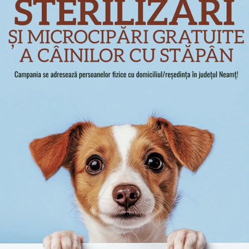 Campanie de sterilizare și microcipare gratuită a câinilor în Neamț în luna iulie