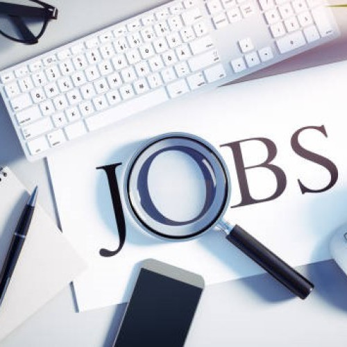 Peste 180.000 de locuri de muncă disponibile pe iajob.ro în primul an de la lansare