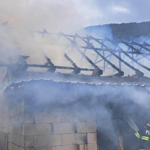 Incendiu la o locuință din Căpâlna