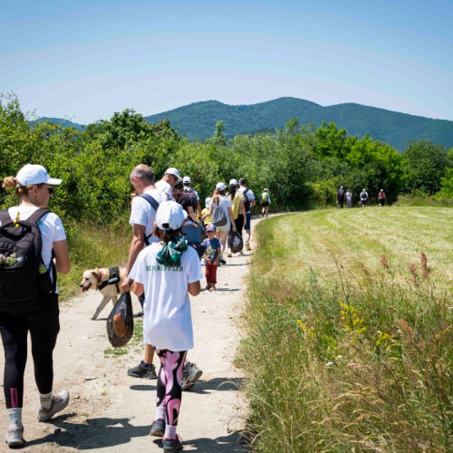 companyia Schaeffler din Brașov a adoptat oficial un traseu turistic din zona Rasinari