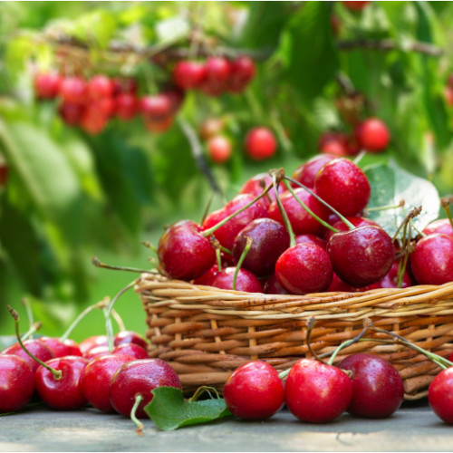 Beneficiile cireșelor pentru sănătate și frumusețe