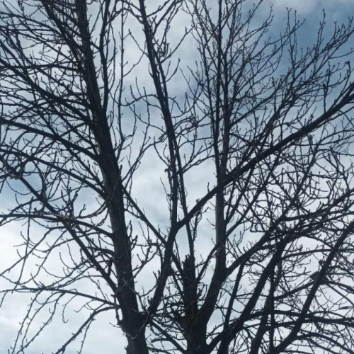 Vânt intens în Moldova și zonele învecinate, conform Meteorologilor