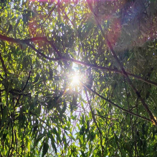 Vremea în Alba în perioada 30 iunie - 6 iulie: temperaturi în creștere și ploi ocazionale