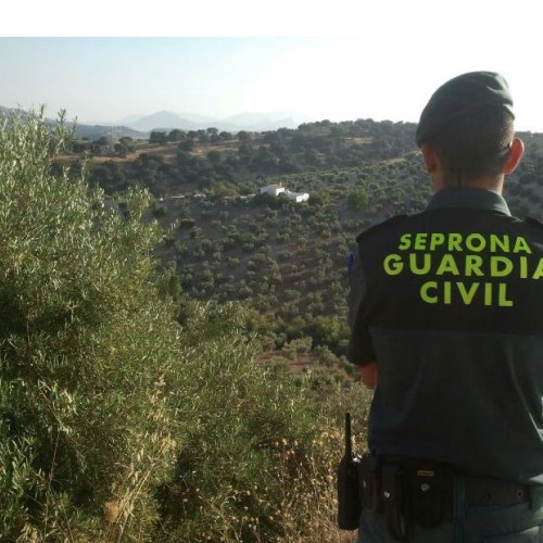 Grup de hoți de cupru, destructurat de poliție într-o razie.