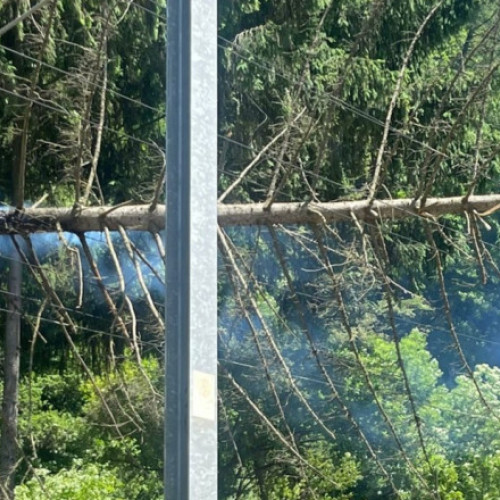 Trafic feroviar blocat între Sinaia și Bușteni din cauza unui copac căzut pe calea ferată