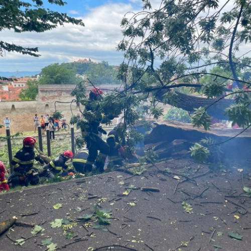 Tragedie în Brașov după ce un copac s-a prăbușit peste două persoane