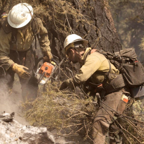 Doi pompieri au fost uciși și unul a fost rănit în Idaho, după ce au fost atacați de persoane înarmate, în timp ce intervenneau pentru stingerea unui incendiu de vegetație. Incidentul a avut loc duminică în apropiere de Coeur d'Alene, iar oficialii au confirmat că victimele sunt cel mai probabil oameni care participau la salvare. Rănitul, care a fost împușcat în timpul atacului, a fost transportat la spitalul Kootenai Health, potrivit centrului medical, citează ABC News și News.ro.