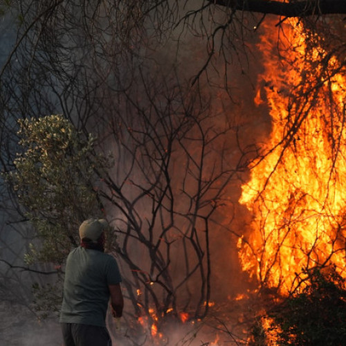 Incendiu forestier în provincia Izmir, Turcia, amenință locuințe și zone industriale