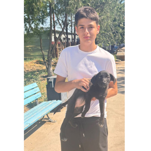 Minnie, o cățelușă plină de iubire, caută o familie iubitoare