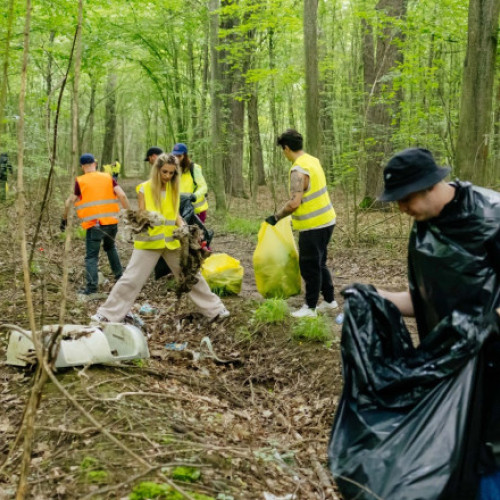 campanie de curățenie în pădurea plopeni, praova: peste 15 tone de deșeuri colectate de voluntari