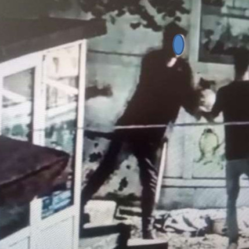 Tineri prinși în timp ce furau pepeni din piața centrală a Botoșaniului