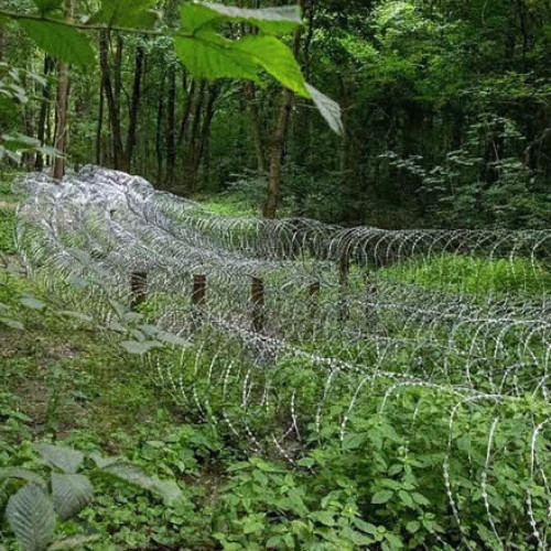 rusia avansează spre Sumi, oraș important în nordul Ucrainei