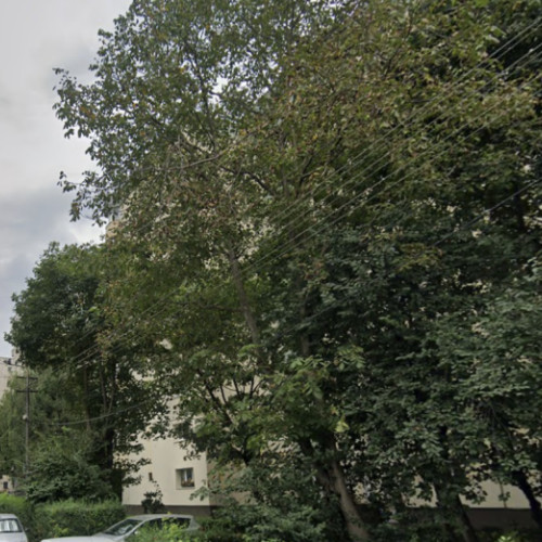 Pericol ridicat de copaci neîngrijiți în zona Calea Mănăștur, atenționează locuitorii