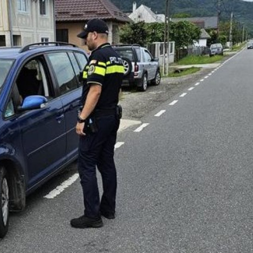 activități de prevenire a faptelor antisociale în Maramureș