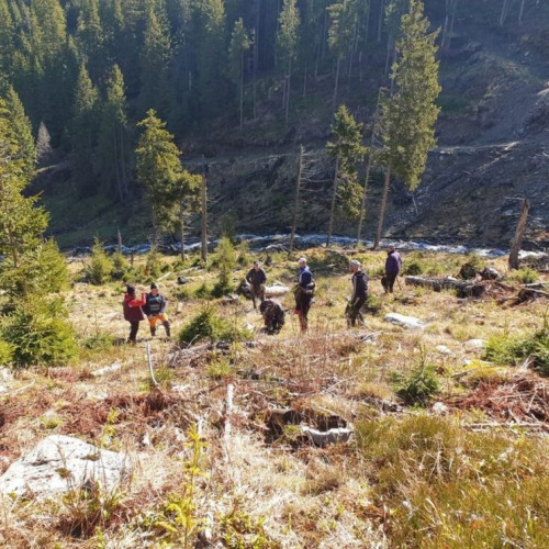 planurile de împădurire în bistrita-năsăud: știINȚE despre proiectele pentru 2024