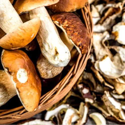 bărbat din Iași, mort după consumul de ciuperci din pădurea Neamț