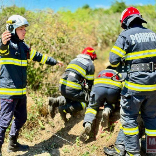 Bărbat de 74 de ani din județul Botoșani, găsit mort după încercarea de a salva un vitel
