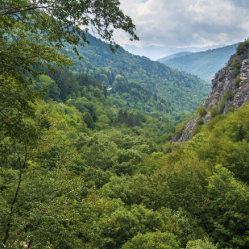 Macedonia de Nord a interzis miercuri plimbările prin păduri pentru a preveni incendiile