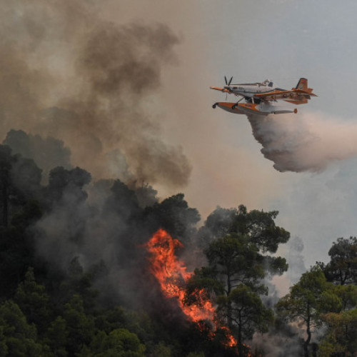 incendii de vegetație în sud-vestul Turciei