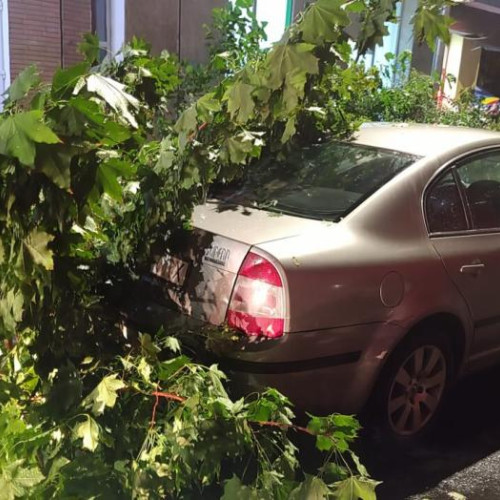 Un clujean a cerut autorităților locale să intervină pentru o problemă simplă, dar dificil de rezolvat singur.
