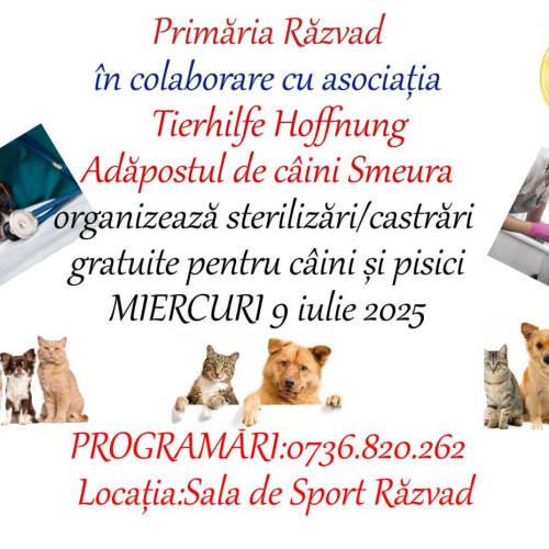 Primăria Răzvad organizează sterilizări gratuite pentru animale de companie