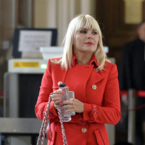 Elena Udrea, fost ministru, a obținut liberarea condiționată după hotărârea judecătorilor
