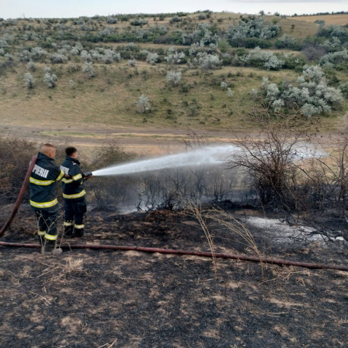 Incendii de vegetație uscată în județul Galați, provocate intenționat