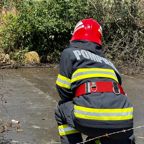 Tragedie în localitatea Leorda: un bărbat a murit încercând să salveze un vitel