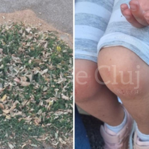 O problemă gravă pe trotuarele din Cluj-Napoca a fost adusă în atenție de o mamă din oraș, după ce fetița ei de 4 ani a suferit o căzătură pe strada Constantin Brâncuși, nr. 95, din cartierul Andrei Mureșanu. Potrivit acesteia, copilul a picat într-o groapă nesemnalizată, acoperită de iarbă, aflată chiar în mijlocul trotuarului. Fetița a căzut în groapa adâncă de aproximativ 20 de centimetri, suferind răni care au necesitat consult medical, notează site-ul stiridecluj.ro.