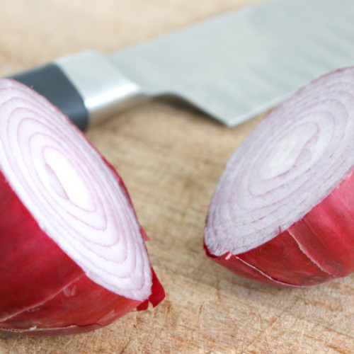 Soia românească redată patrimoniului genetic european după recuperare din SUA