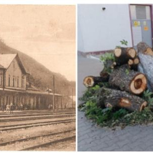 imaginea unui copac doborât în gara Dej, simbol al istoriei orașului, a fost distrusă în procesul de modernizare