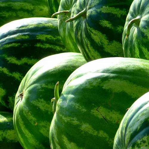 Pepenii, mai ieftini din cauza valului de căldură din România