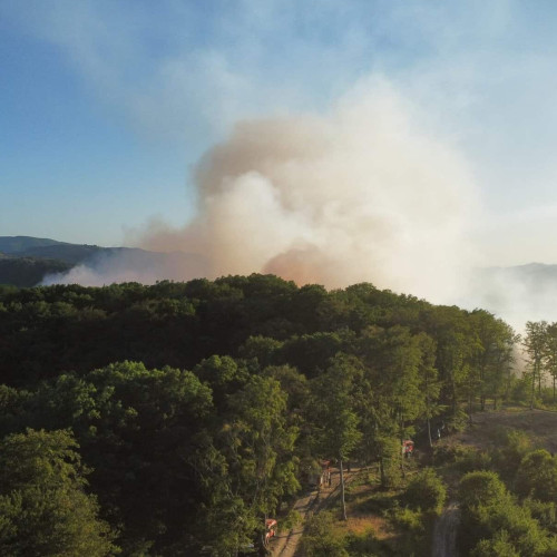 Incendiu de vegetație pe raza localității Strungari, în Alba