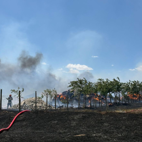 Incendiu în Tulcea: pompierii intervin pentru stingerea unui foc uriaș