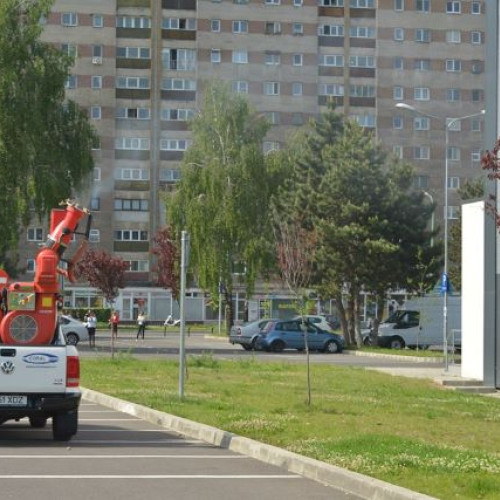 anunț de activitate de dezinsectie în brasov