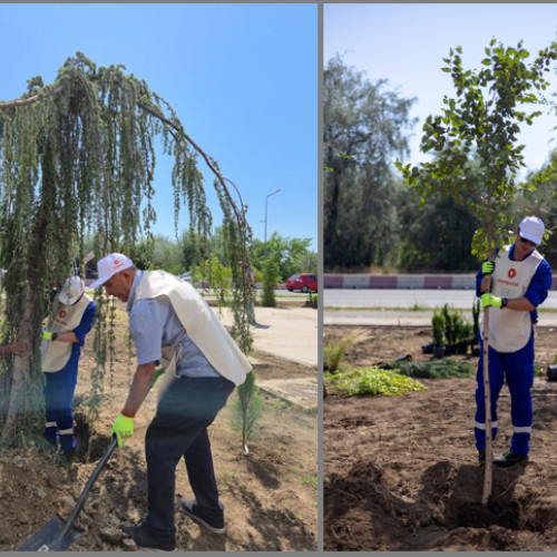 rompetrol a contribuit la înființarea unui parc dendrologic în navodari