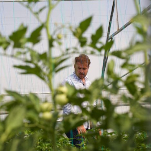 Carrefour România lansează prima cooperativă agricolă bio cu producători locali