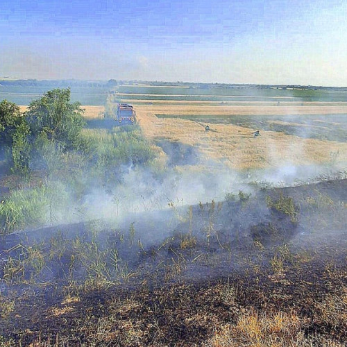 Incendiile de vegetație mai multe pe raza județului Arad în iunie 2025