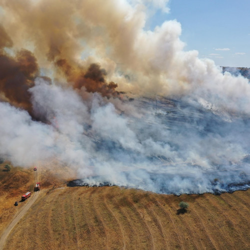 Incendiu de proporții în zona periferică a Tulcei
