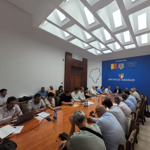 discutie despre deblocarea albiei paraului Repedea în comuna Bistrița Bârgăului