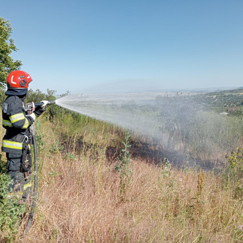 Incendiu de vegetație uscată aproape de locuințe în comuna Frumușica