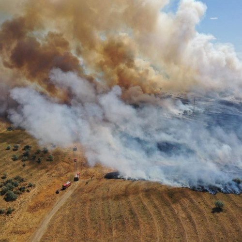 Incendiu de vegetație provocat de condiții meteo nefavorabile