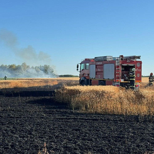 Pompierii din Satu Mare au intervenit pentru stingerea mai multor incendii de vegetație uscată