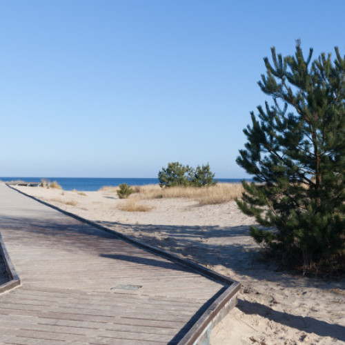 Polonia prelungește controalele temporare la frontiera cu Germania până pe 5 august