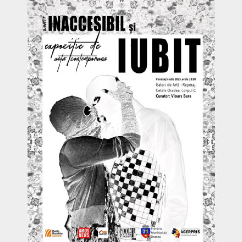 expoziție de artă contemporană „Inaccesibil și îndrăgit” la Oradea
