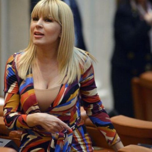 Elena Udrea, liberată condiționat de judecători, dar decizia nu este încă definitivă