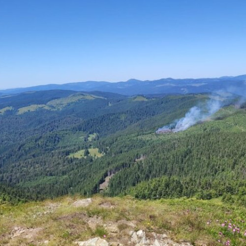 Incendiu de vegetație în zona montană a comunei Gura Teghii