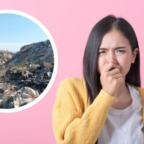 Mișcare anunțată pentru combaterea mirosurilor neplăcute din zona Borhanci