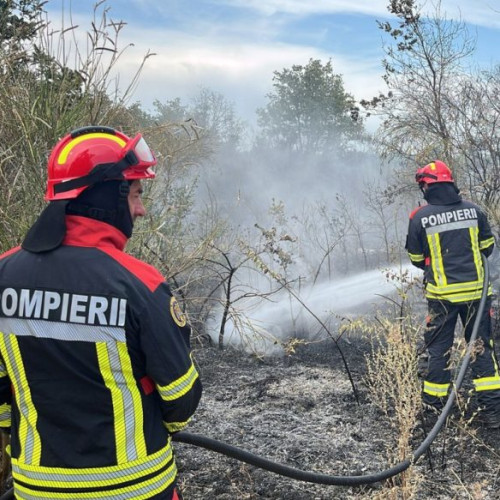 misiune a modulului național specializat în stingerea incendiilor de pădure în Franța continuă cu intervenții eficiente