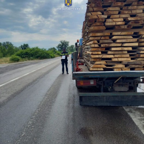 Acțiune a poliției și Gărzii Forestiere pentru combaterea delictelor silvice în Maramureș